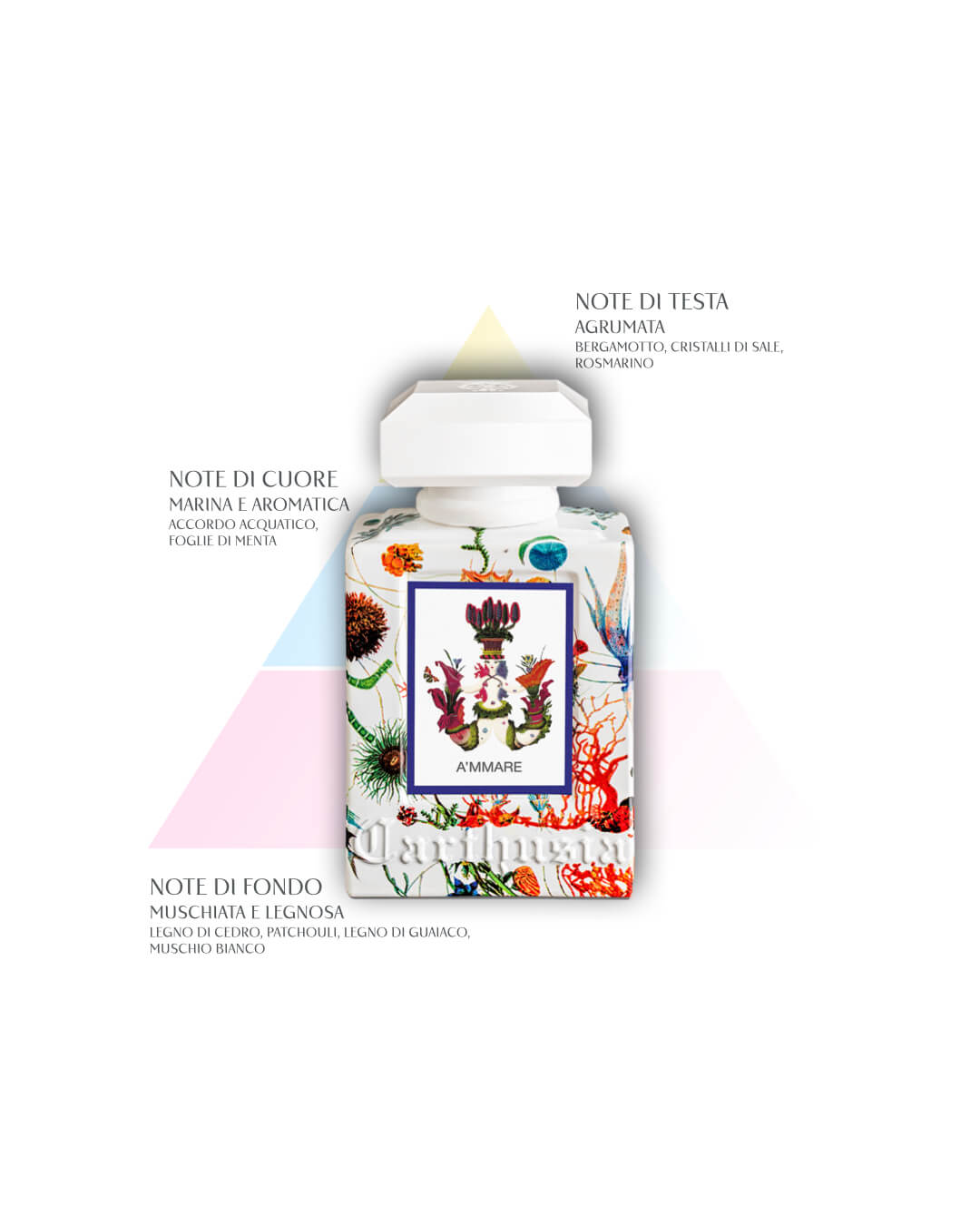 A'MMARE EAU DE PARFUME
