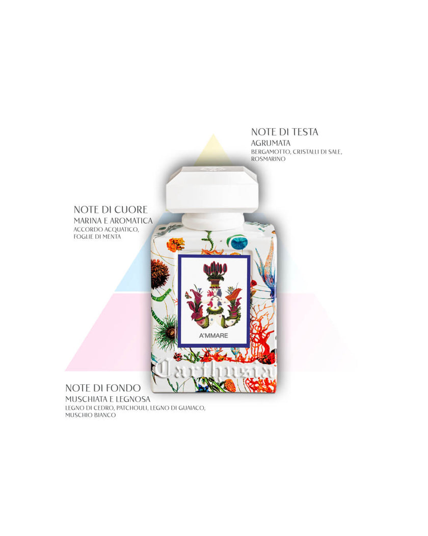 A'MMARE EAU DE PARFUME